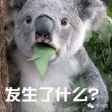 edein