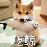 柠檬🍋酸菜鱼🐟