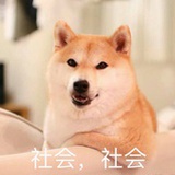 爱奶盖的废柴晶