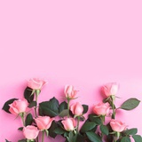 我的名字叫红`(*