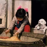 熊猫兔