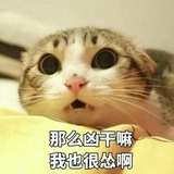 小小小老虎