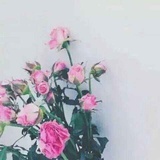 啊喵