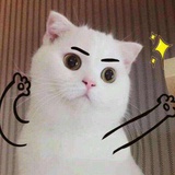 永远在减肥