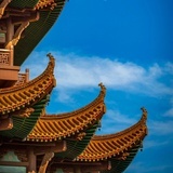 张雨晨
