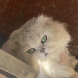 铁柱