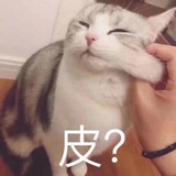 每天想发疯
