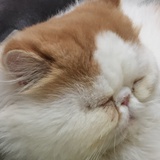 初心已然