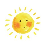 桐宝