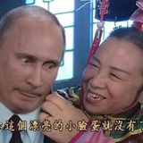 别人家的美人儿
