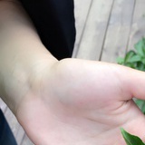 迷途知返