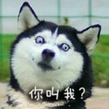 小兽