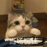 好困