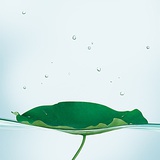 世界和平
