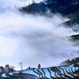 若雨飘雪