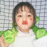 红豆枝