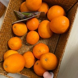 一个橙子🍊