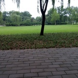 门中马