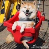 亲亲抱抱举低低