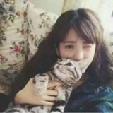 喵小姐