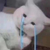 裁骨为诗