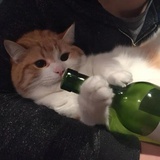 今天记得敷面膜