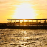 明夕何夕