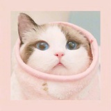 今天也想吃火锅