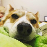 ヽ(￣(ｴ)￣)ﾉ