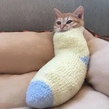 云丫头