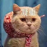 最好吃的长豆角