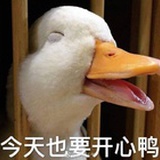 吉木萨尔欢迎你