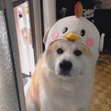 辣辣