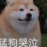 王皮鞋