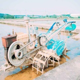 Shenam