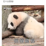 我要工作