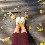 yan_ner
