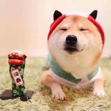 张小白