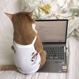 踏遍青山人未老