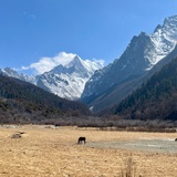 白水