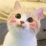 桥豆麻袋