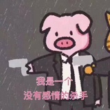 张小马y
