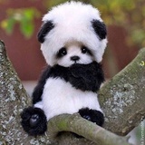 落子无悔