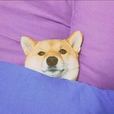 眠眠