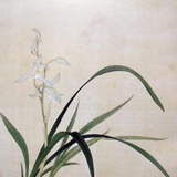 诚方