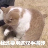 yuking