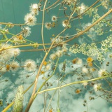 山谷落夏