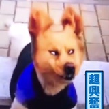 九九一十八