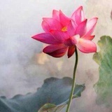 在水一方