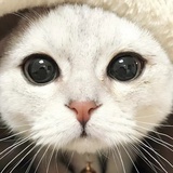 稚气。